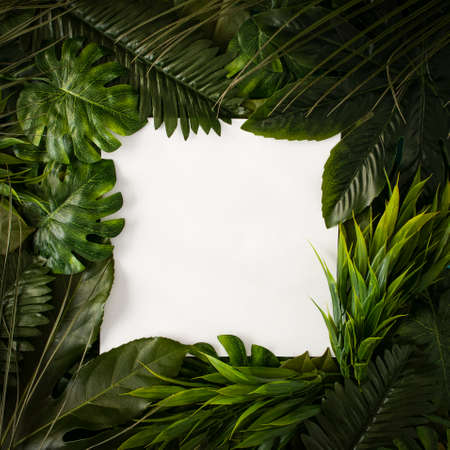 Creative nature layout made of tropical leaves and flowers. Copy space made with paper card note....