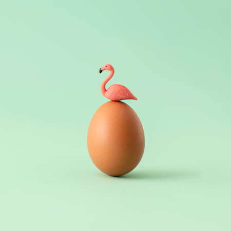 Natural Easter egg with flamingo sitting on top against pastel green mint background. Minimal spring...