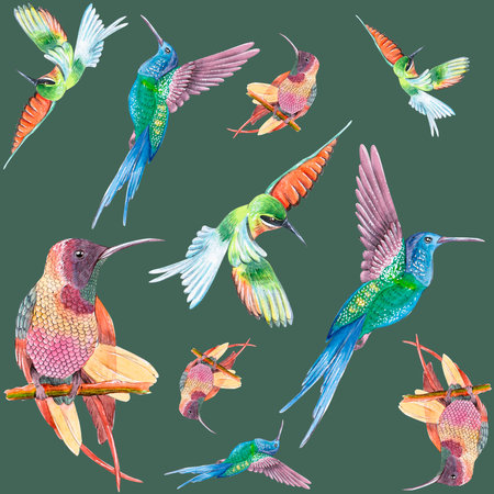 Hummingbird watercolor seamless pattern illustration on green background. It can be used in printing on textiles, paper, packagingの写真素材