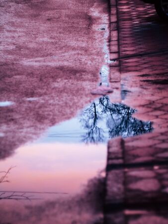 Rain in the city puddles dropsの写真素材
