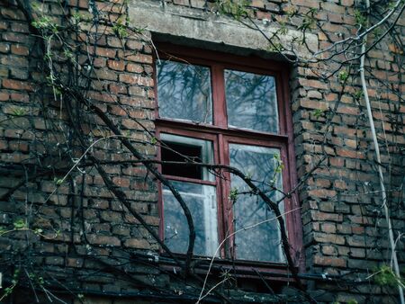 Russian courtyard conveying the atmosphere and romance of the countryの写真素材