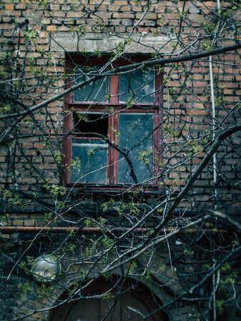 Russian courtyard conveying the atmosphere and romance of the countryの写真素材