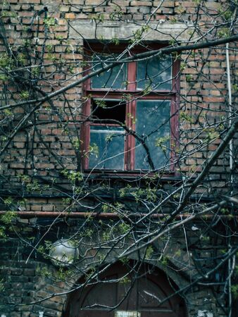 Russian courtyard conveying the atmosphere and romance of the countryの写真素材