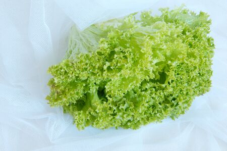 lettuce with white mesh fabricの写真素材