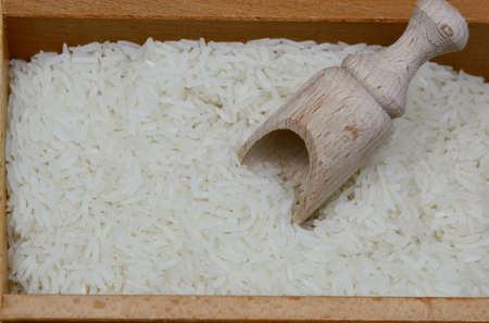 rice is an important crop in the world