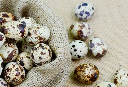 many quail eggs in sack bagの写真素材