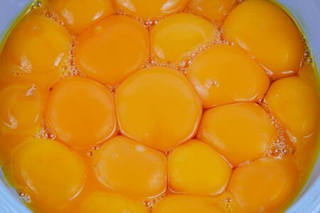 a lot of yolks from chicken