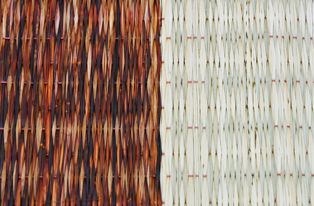 2 color in 1 Mats made of papyrusの写真素材