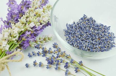 Benefits of lavender flowers. (Vintage)の写真素材