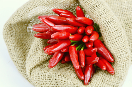 Bird's eye chili or red chili peppers group in sack cloth bag with white background.の写真素材