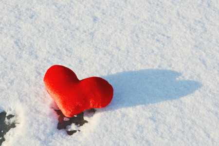 Single red heart with shadow on the snow.の写真素材