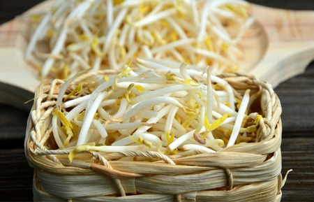 Fresh bean sprout or the sprout of mung bean in basket on wooden background.の写真素材