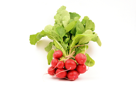 Fresh Radishes with Green leaf on white backgroundの写真素材