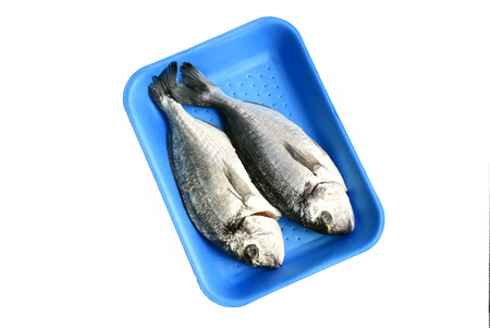 Gilt-head bream or (German name is Goldbrasse) in blue  pastic tray on white background.の写真素材