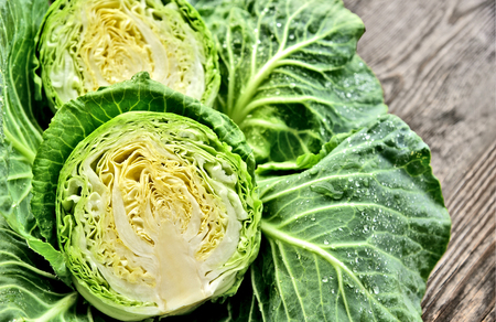cabbage cut half with water drop on wooden background.の写真素材