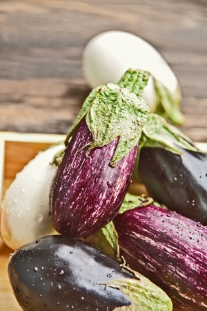 3 colorful mixed of Eggplant (Solanum melongena) or aubergine with water drop.の写真素材