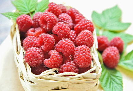 A lot of fresh Raspberry with green leaf in basket on wooden table.の写真素材