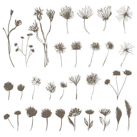 flowers for your design hand drawn sketch set flowersのイラスト素材