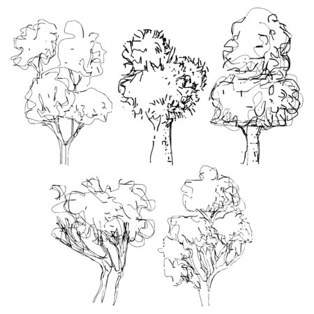 Hand drawn tree  isolated vector illustration art sketching  of vector trees symbols in naive style Pen and ink treeのイラスト素材