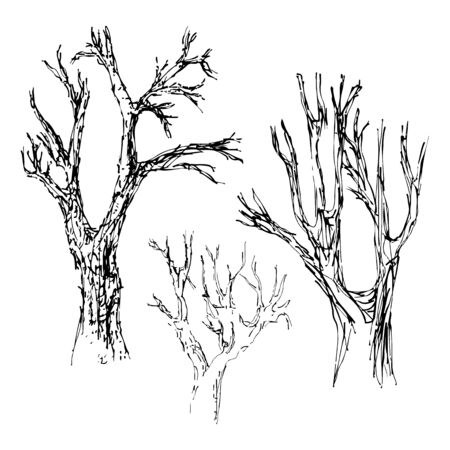 Hand drawn tree  isolated vector illustration art sketching  of vector trees symbols in naive style Pen and ink treeのイラスト素材