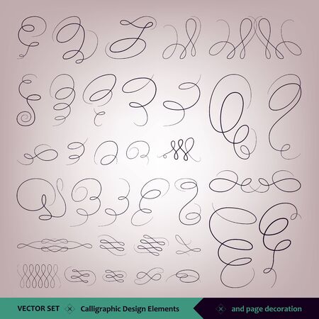 Vector set of calligraphic elements for design. and page designのイラスト素材