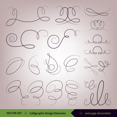 Vector set of calligraphic elements for design. and page designのイラスト素材