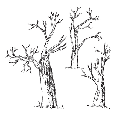 Hand drawn tree silhouette, Sketched, Tree Hand drawn sketch illustration isolated on white backgroundのイラスト素材