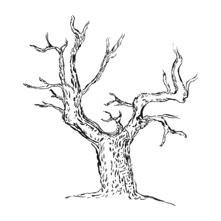 Hand drawn tree silhouette, Sketched, Tree Hand drawn sketch illustration isolated on white backgroundのイラスト素材