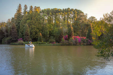 Lago Negro Black Lake with Swan Pedal Boat - Gramado, Rio Grande do Sul, Brazilの写真素材