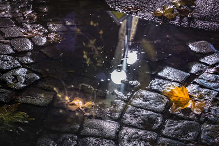 Puddle in the street with golden leaves of Autumn at night with lamp lights.の写真素材