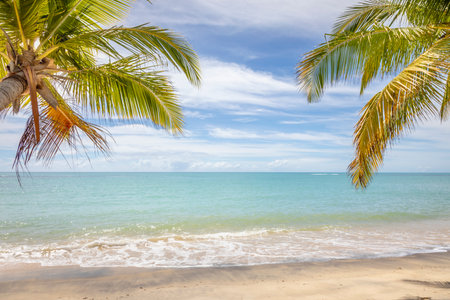 Idyllic Espelho Beach in Trancoso at sunny day, Bahia, Northeastern Brazilの写真素材