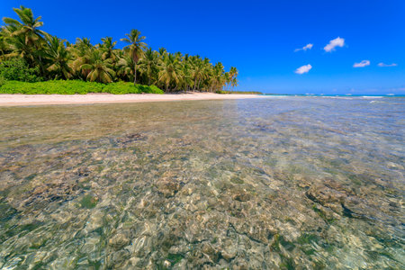 Tropical idyllic caribbean beach with palm trees, Punta Cana, Dominican Republicの写真素材