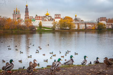 Novodevichiy convent and lake in Moscow at autumn, Russiaの写真素材