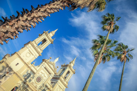 Baroque colonial church framed by palm trees, Brazil, South Americaの写真素材