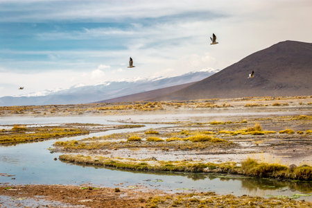 Salar de Atacama volcanic landscape and salt lake in Atacama Desert, Chileの写真素材