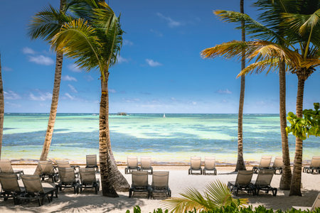 Bavaro Tropical beach in Punta Cana at sunny day, Caribbean sea, Dominican Republicの写真素材