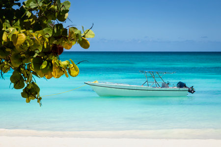 Tropical paradise, sand beach in caribbean Saona Island, Punta Cana, Dominican Republicの写真素材