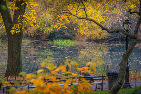 Central park in New York City Manhattan at golden autumn , United Statesの写真素材