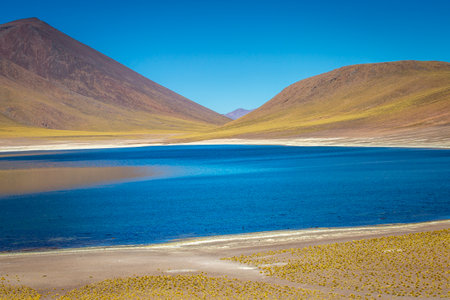 Salt lake Laguna Miniques, and idyllic volcanic landscape at sunrise, Atacama desert, Chile border with Boliviaの写真素材
