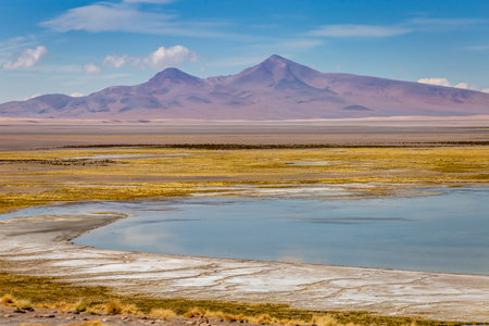 Salt lake reflection and idyllic volcanic landscape at Sunset, Atacama desert, Chile border with Boliviaの写真素材