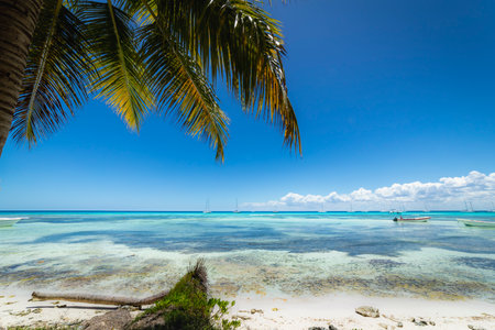 Boats and tropical beach in caribbean sea, idyllic Saona island, Punta Cana, Dominican Republicの写真素材