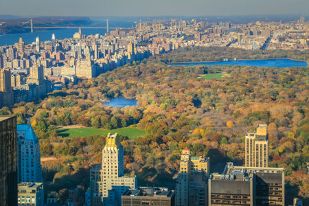 Central Park aerial view at golden autumn, Manhattan, New York, United States
