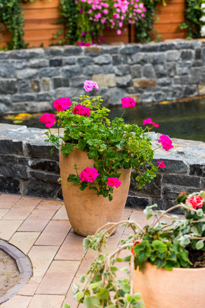 flower pots near the artificial pond in the design of the yardの写真素材