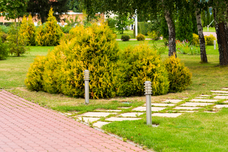 a green flowerbed in the park with a path of tiles and full-length flashlightsの写真素材