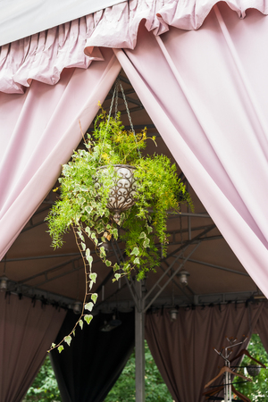 flowers suspended in flowerpots in summer on the street, horizontal frameの写真素材