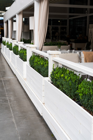 decorative bushes on the veranda in summerの写真素材