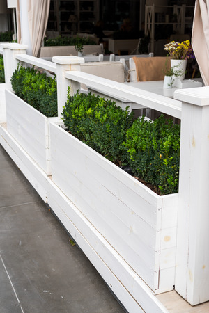 decorative bushes on the veranda in summerの写真素材
