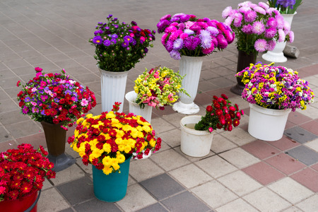 cut flowers and buckets on the street for saleの写真素材