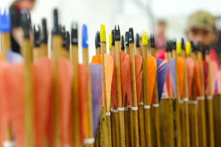 Arrows with natural plumage for better flightの写真素材