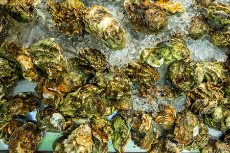 fresh mussels with ice on the counterの写真素材